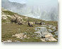 vanoise06026c