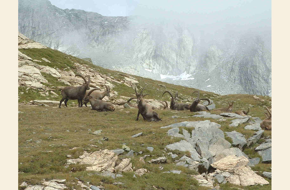 vanoise06026c