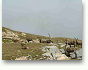 vanoise06029c