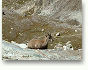 vanoise163com