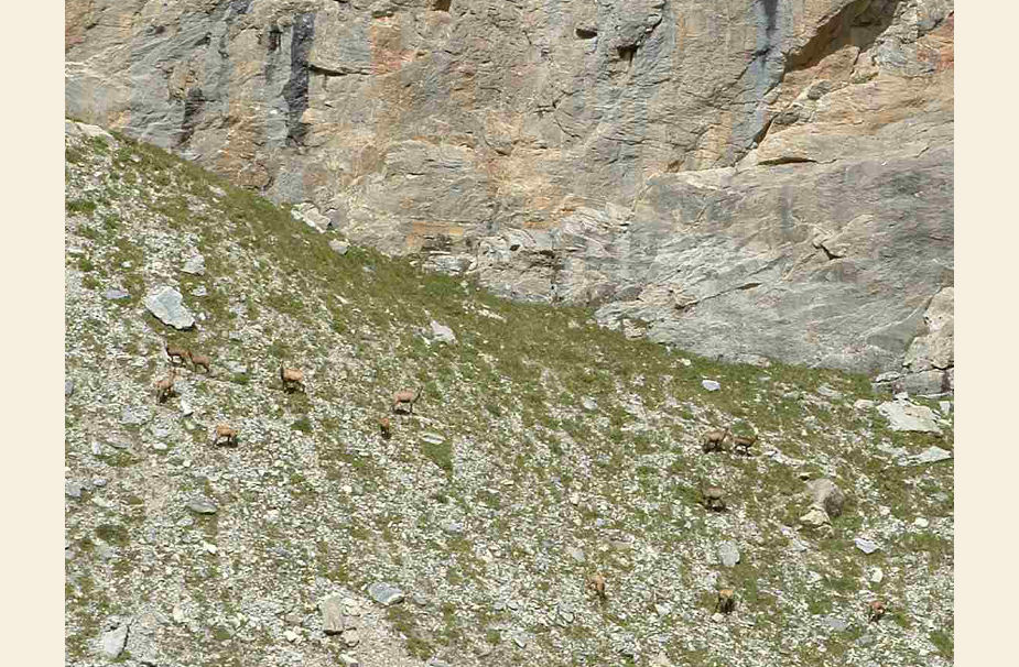 vanoise113com