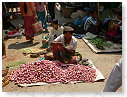 P1010397_tn
