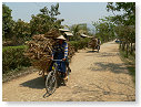 P1010403_tn