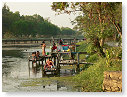P1010427_tn