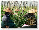 P1010503_tn