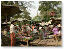 P1010103_tn