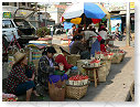 P1010173_tn