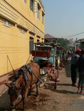 P1010175_tn