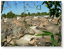 Chute du Mekong.