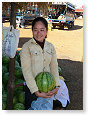 Water melon