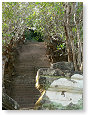 Escalier a 7 niveaux.
