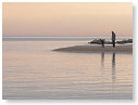 foto mare da internet