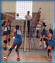 Gioco