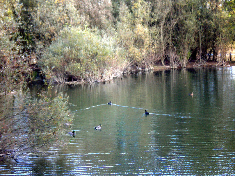 PA080761