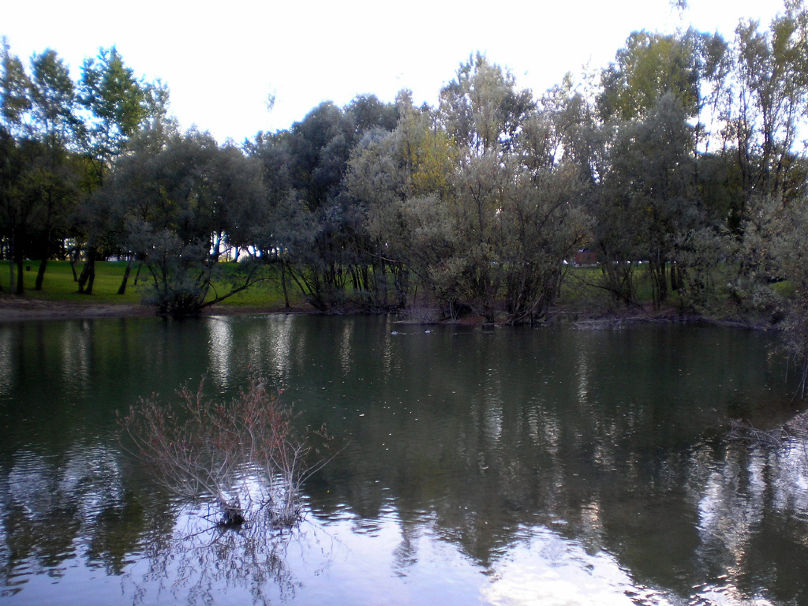 PA080763