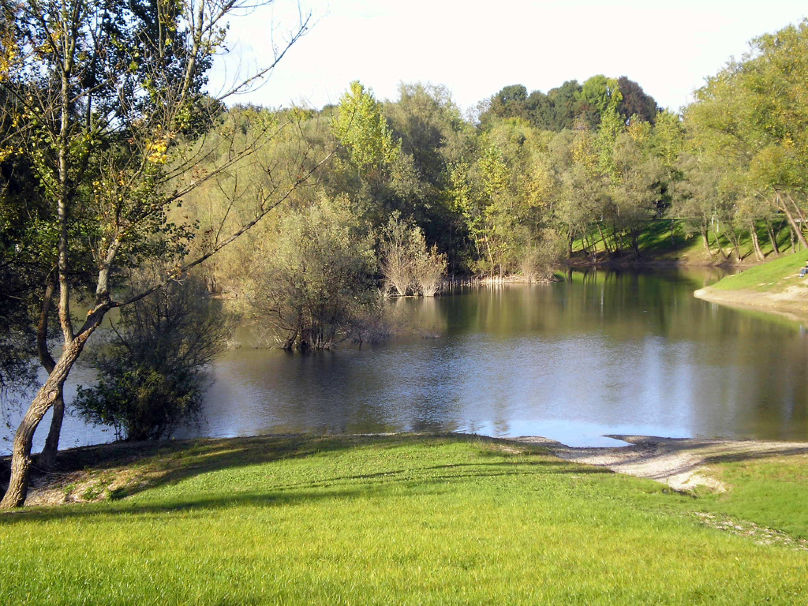 PA080767