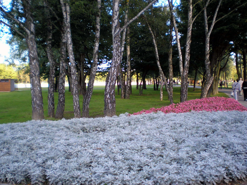 PA080772