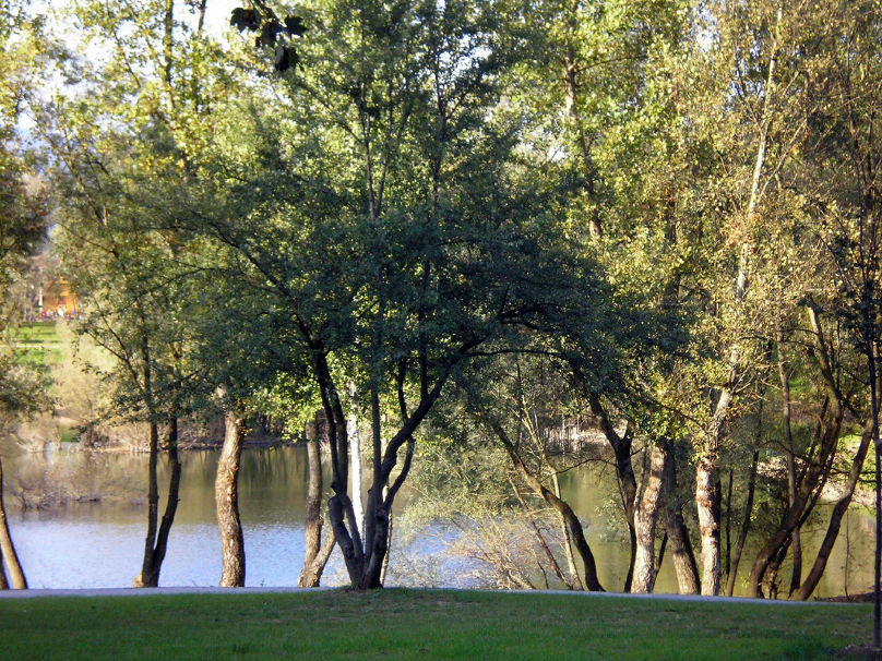 PA080774