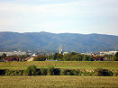 PA080775