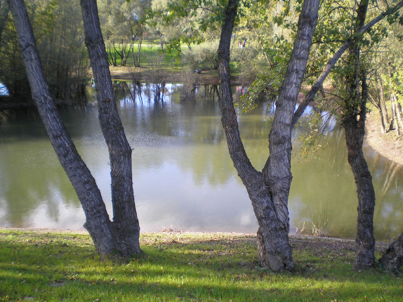 PA080752