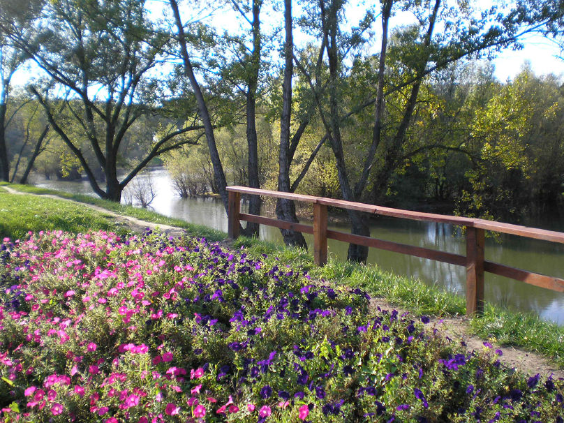 PA080755
