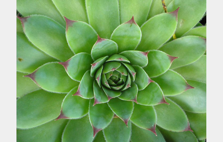 P8050105