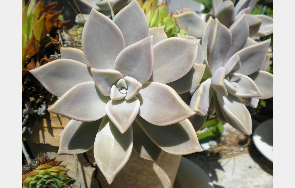 P9030460