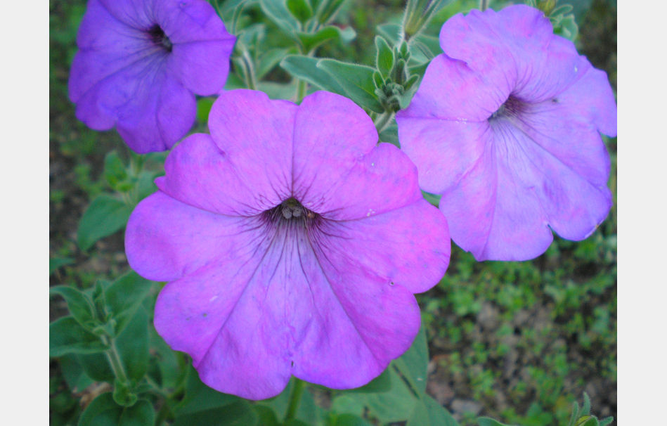 P9090555