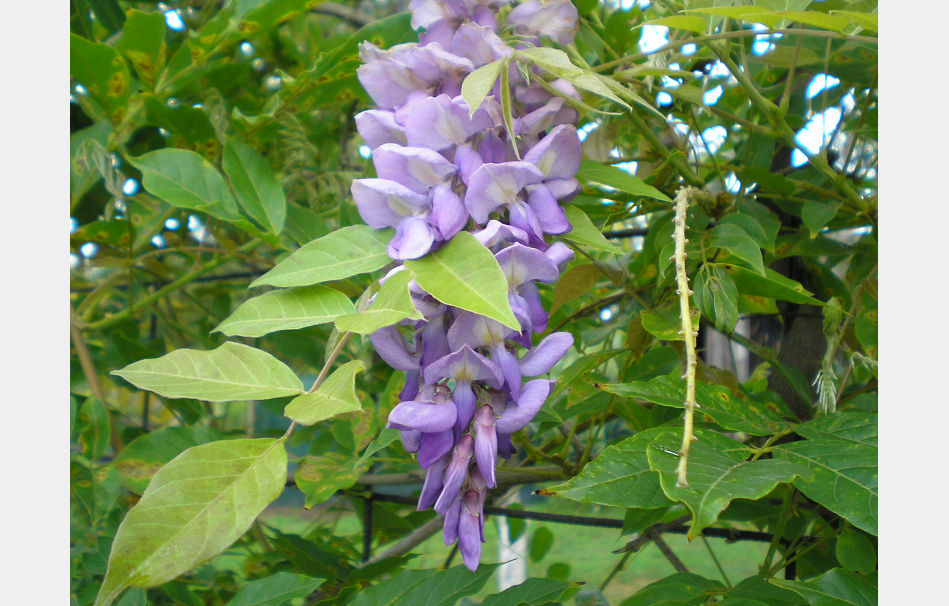 P8050113