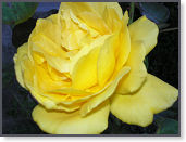 P9090540