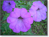 P9090555
