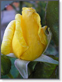 P9090558