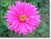 P9100594