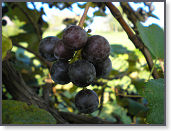 P9100599