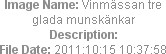 Image Name: Vinmässan tre glada munskänkar
Description: 
File Date: 2011:10:15 10:37:58