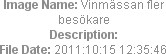 Image Name: Vinmässan fler besökare
Description: 
File Date: 2011:10:15 12:35:46