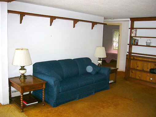living room couch