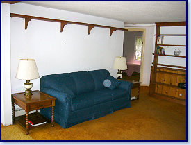 living room couch