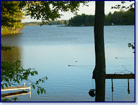 VT 001 south lake ducks